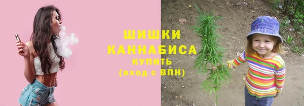 метадон Новодвинск