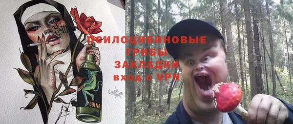 метадон Новодвинск