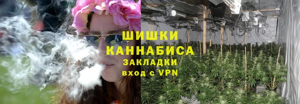 метадон Новодвинск