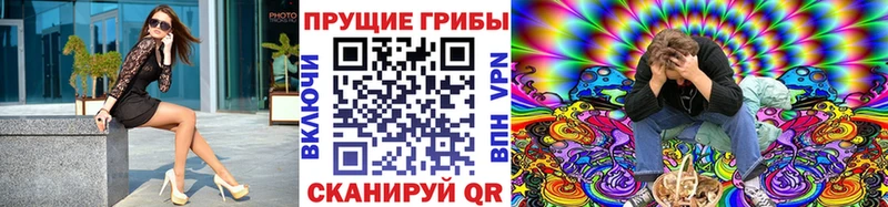 Псилоцибиновые грибы мухоморы  купить наркотик  Малая Вишера 